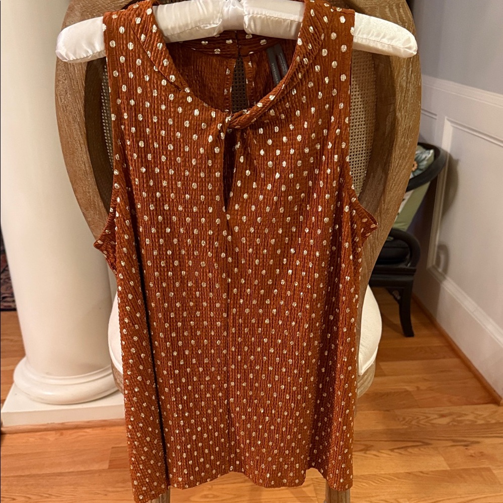 Anthropologie Rust Sleeveless Blouse with Metallic Gold Polka Dots, Like New